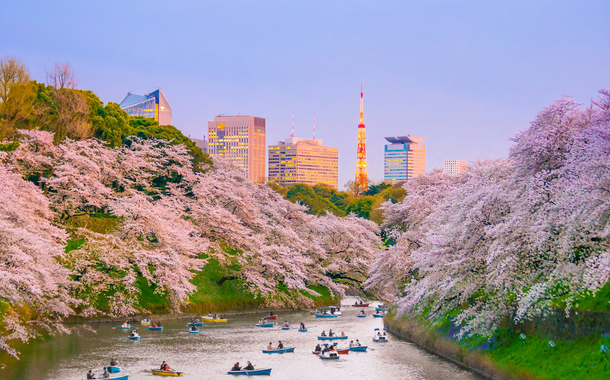 Tokyo City Tokyo City