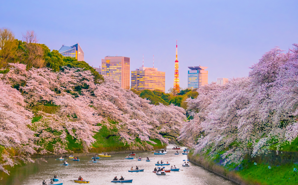 Tokyo City