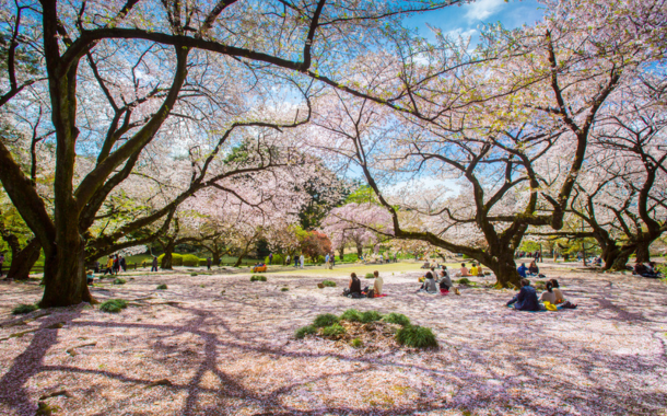 Ueno Park