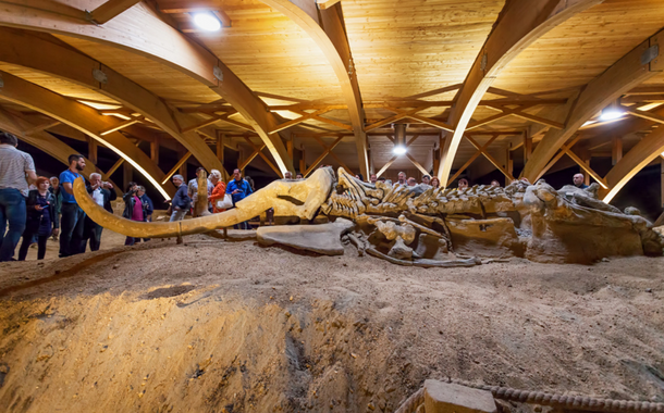 Viminacium archaeological site