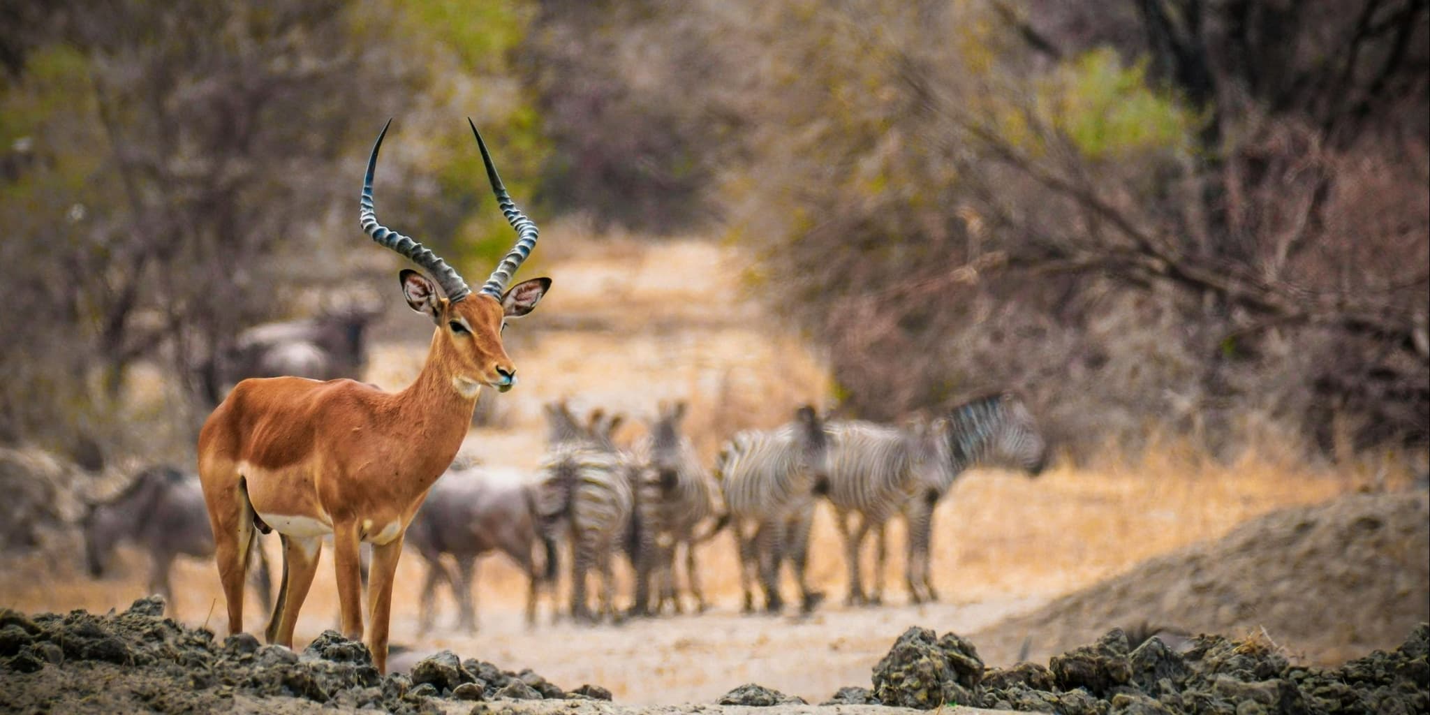 Botswana