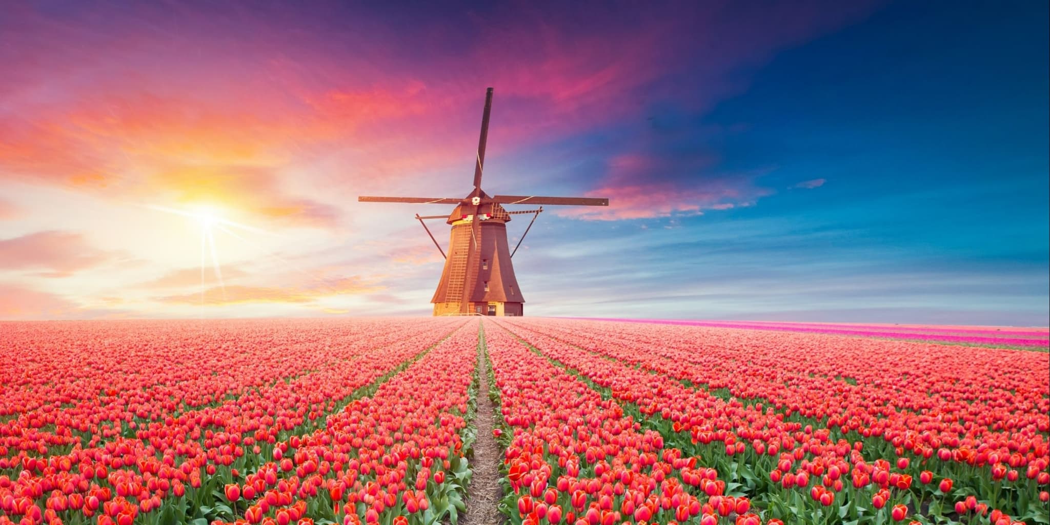 Netherlands