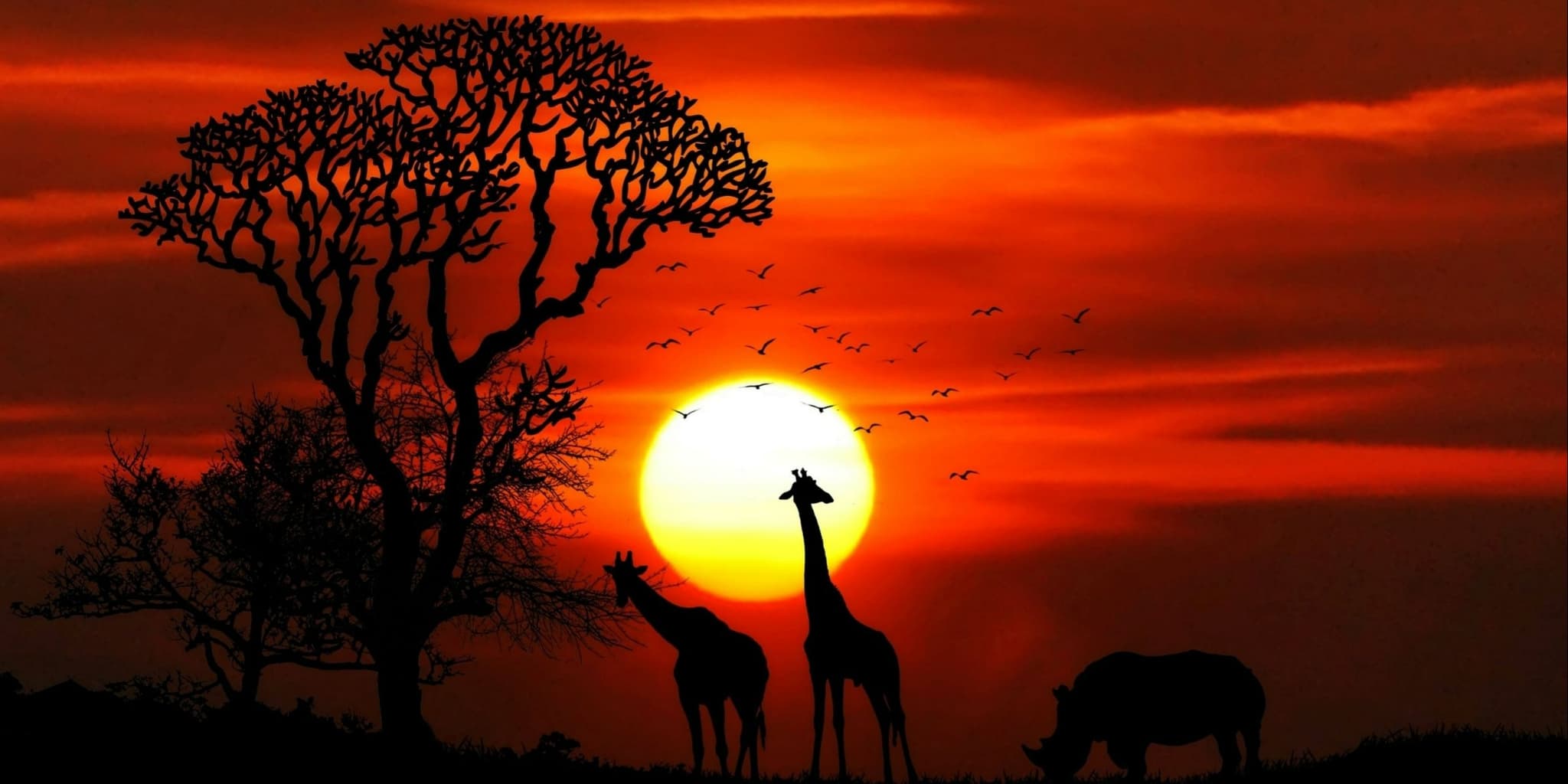 South Africa