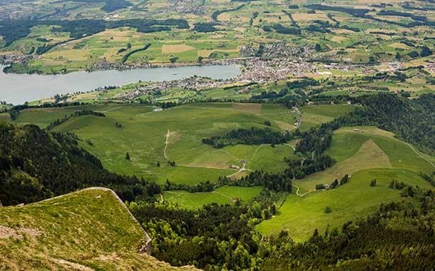Lucerne