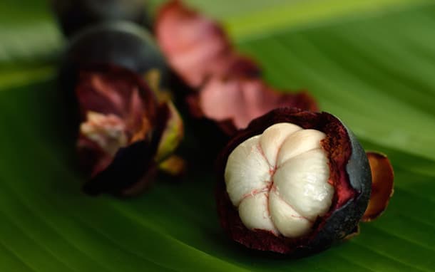 Mangosteen
