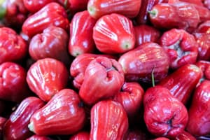 Rose apple