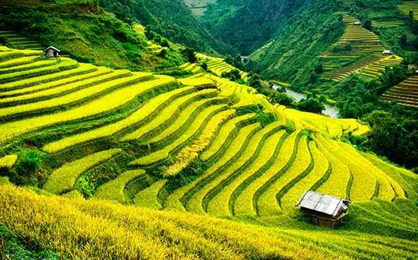 Vietnam