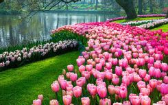 thumbnail_684e6860_f653_4193_b